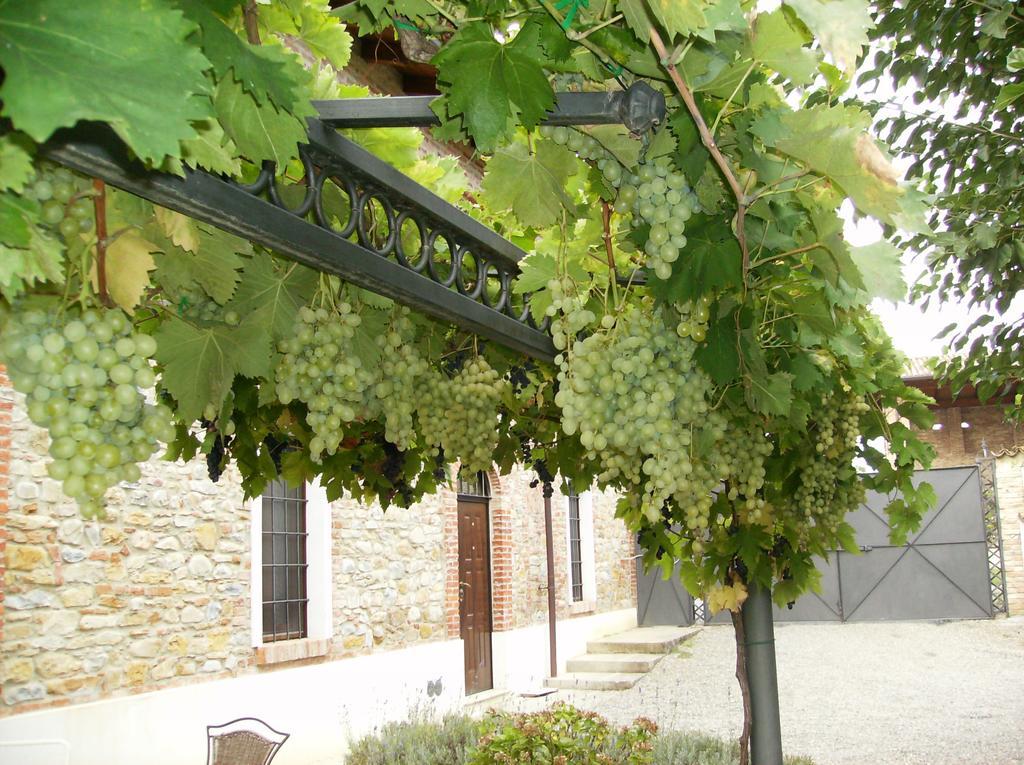 Agriturismo Casa Garello Salice Terme Eksteriør billede
