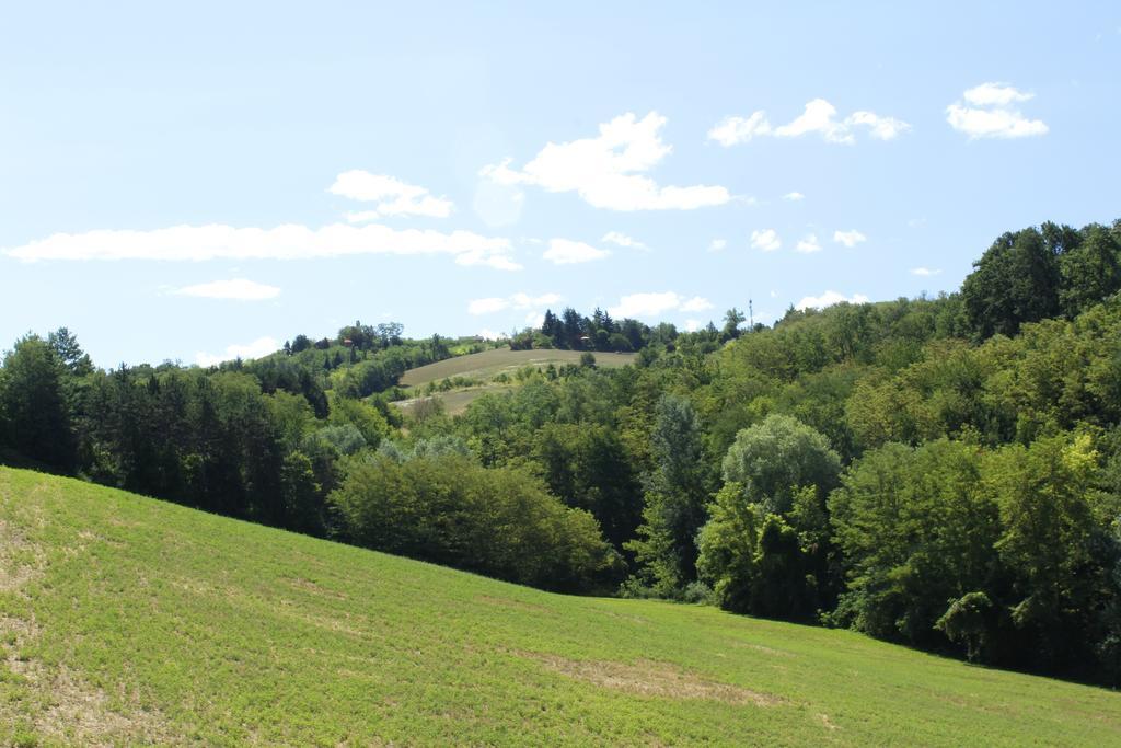 Agriturismo Casa Garello Salice Terme Eksteriør billede